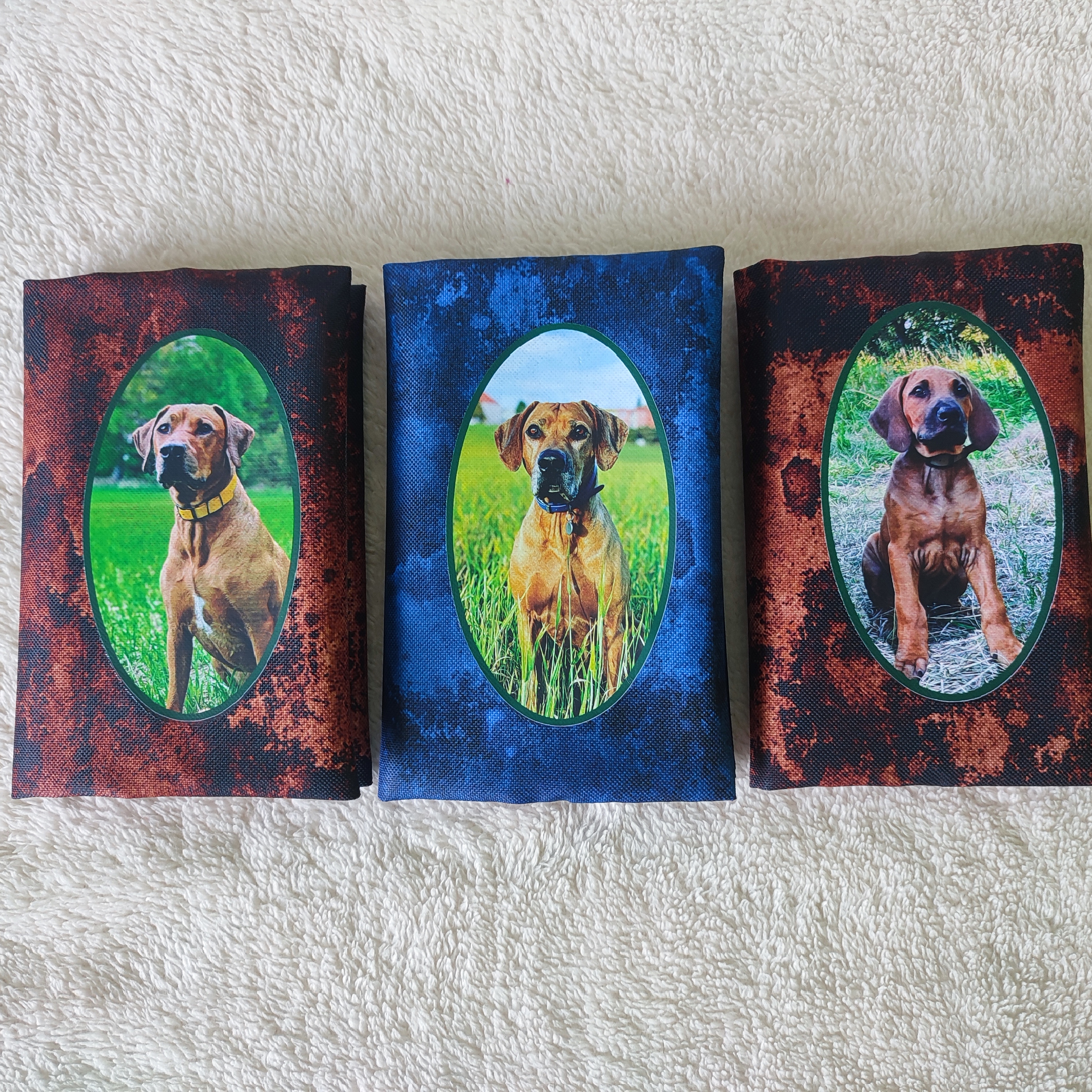 obal na očkovací průkaz