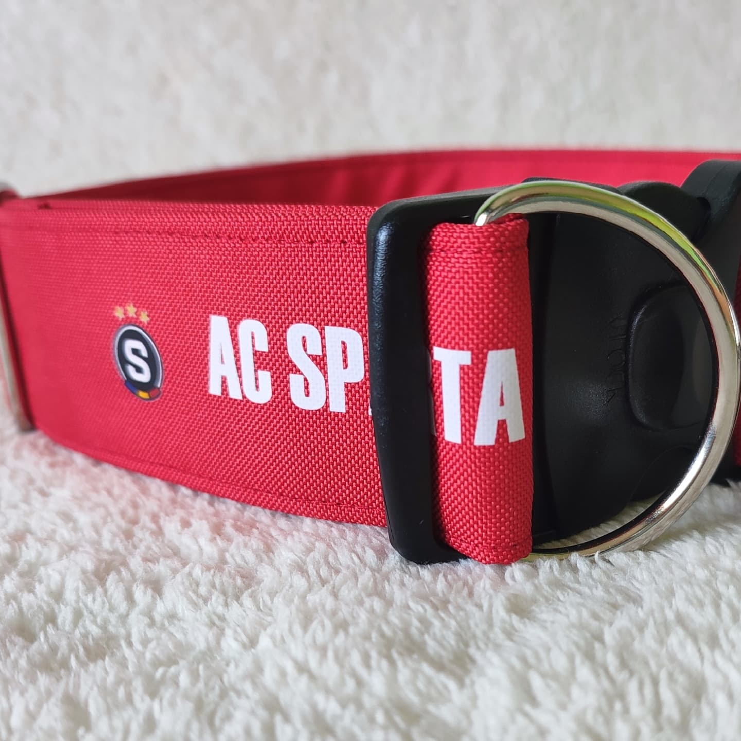 bezpečnostní obojek